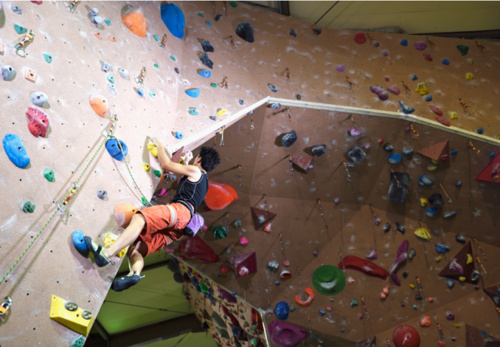 SEL e FASI una collaborazione che continua nel 2026